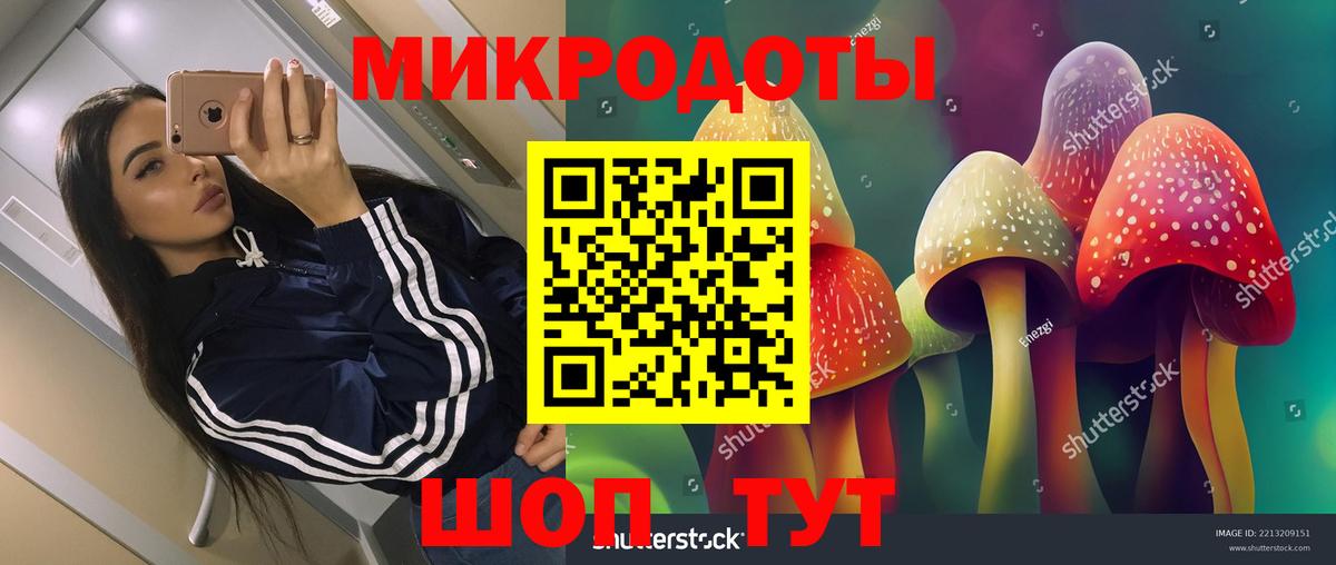 Спасск-Дальний  хочу   Вход с VPN  Псилоцибиновые грибы Psilocybine cubensis 